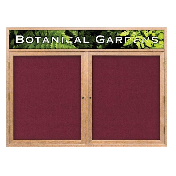 Open Faced Traditional Corkboard, 60x36"